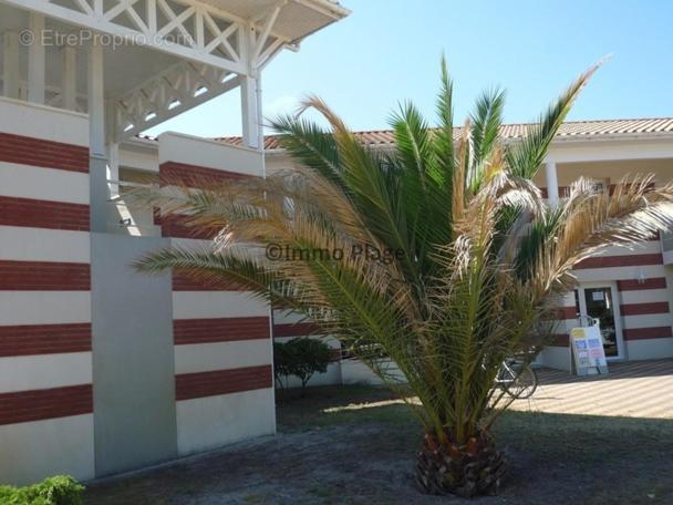 Soulac-Sur-Mer Avec Piscine المظهر الخارجي الصورة